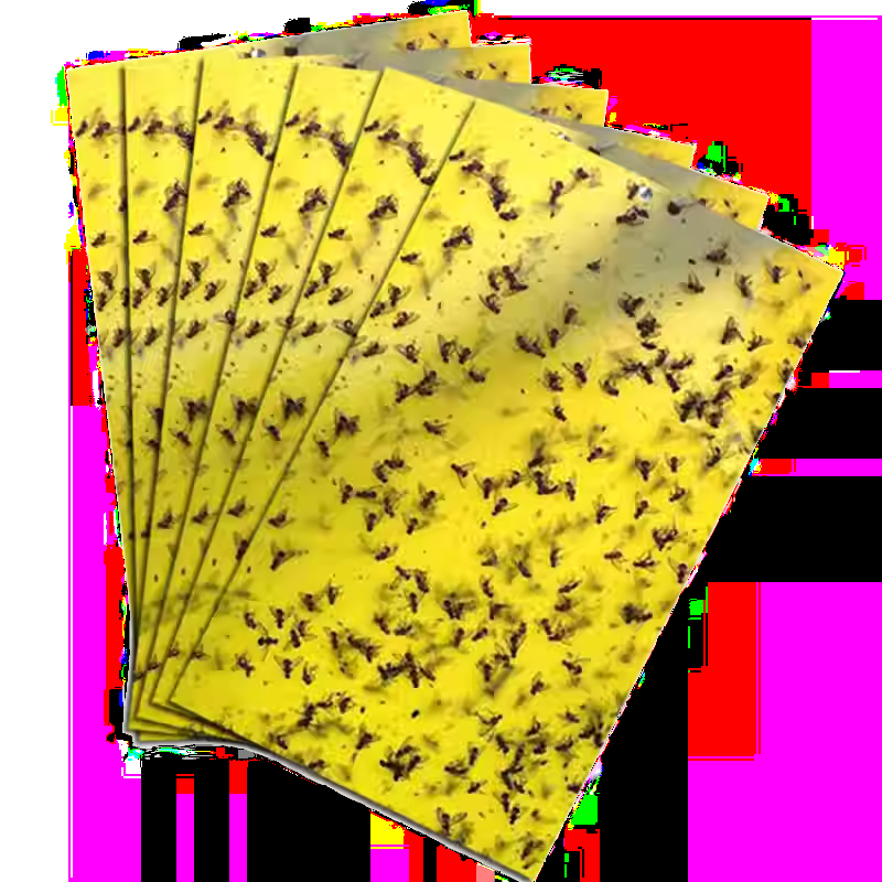 Hot Melt Glue Adhesive Coating Machine Mouse Rat Rodents Traps Board Making Machine