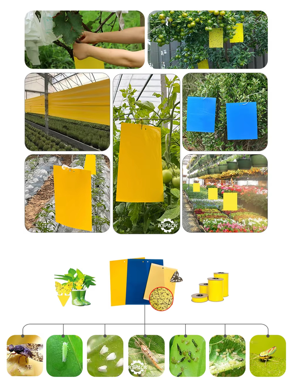 Hot Melt Glue Adhesive Coating Machine Mouse Rat Rodents Traps Board Making Machine